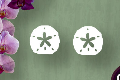 1759058205_Sand-Dollar-Earrings-Vector-Cut-Graphics-5868173-1-1