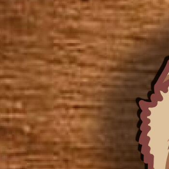 Intra απο ξύλο plywood 3mm-4mm πάχος – Αρχείο 3D Layered Santa Claus Δίασταση  20x20 cm INTRAFABR-80682619 - Image 8