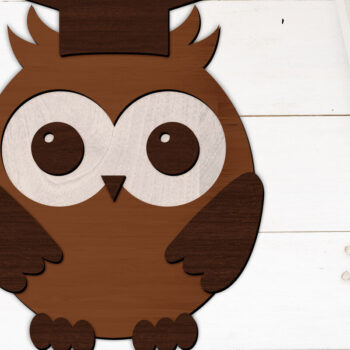 Intra απο ξύλο plywood 3mm-4mm πάχος – Διακοσμητικό πολυστρωματικό αρχείο σχολικής κουκουβάγιας Δίασταση  40x30 cm INTRAFABR-99166382 - Image 2