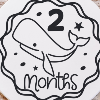 Intra απο ξύλο plywood 3mm-4mm πάχος – Sea Animals Baby Monthly Milestone Δίασταση  20x20 cm INTRAFABR-111580886 - Image 7