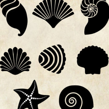 Intra απο ξύλο plywood 3mm-4mm πάχος – Κοχύλια θάλασσας Δίασταση 20x20 cm INTRAFABR-125190501 - Image 1