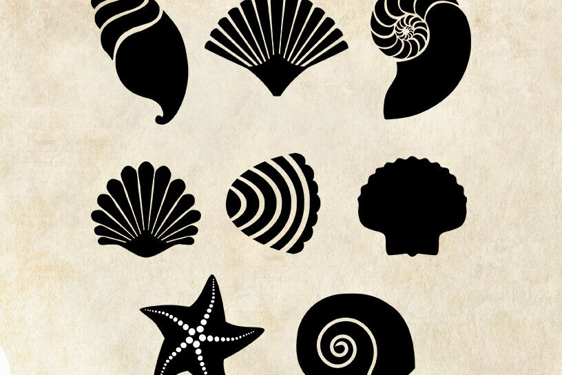 Intra απο ξύλο plywood 3mm-4mm πάχος – Κοχύλια θάλασσας Δίασταση  20x20 cm INTRAFABR-125190501