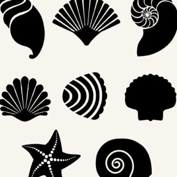 Intra απο ξύλο plywood 3mm-4mm πάχος – Κοχύλια θάλασσας Δίασταση 20x20 cm INTRAFABR-125190501 - Image 3