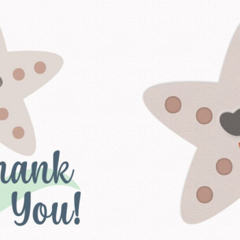 Intra απο ξύλο plywood 3mm-4mm πάχος – Αποκομμένο αρχείο Sea Star Kids Party Layered Δίασταση 20x20 cm INTRAFABR-99706447 - Image 4