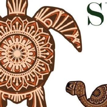 Intra απο ξύλο plywood 3mm-4mm πάχος – Θαλάσσιες χελώνες , 3 σχέδια , 5 στρώσεις Δίασταση  20x20 cm INTRAFABR-31644767 - Image 5