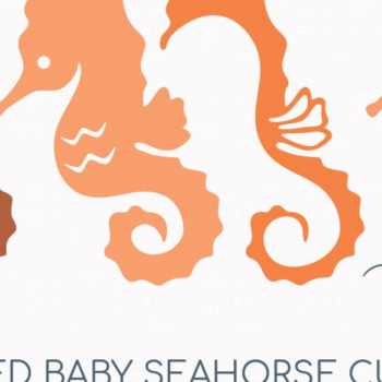 Intra απο ξύλο plywood 3mm-4mm πάχος – Αποκομμένο αρχείο Seahorse Kids Party Layered Δίασταση  20x20 cm INTRAFABR-99887343 - Image 2