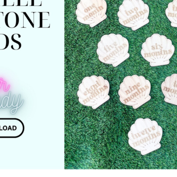 Intra απο ξύλο plywood 3mm-4mm πάχος – Seashell Baby Milestone Cards Cut Laser Δίασταση  20x20 cm INTRAFABR-115290463 - Image 1