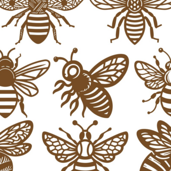 Intra απο ξύλο plywood 3mm-4mm πάχος – Σετ αρχείουWood Bee Δίασταση  20x20 cm INTRAFABR-100195225 - Image 1