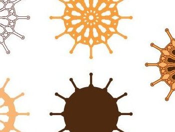 Intra απο ξύλο plywood 3mm-4mm πάχος – Τροχός πλοίου Ναυτική 3D Δίασταση 20x20 cm INTRAFABR-34875034 - Image 6