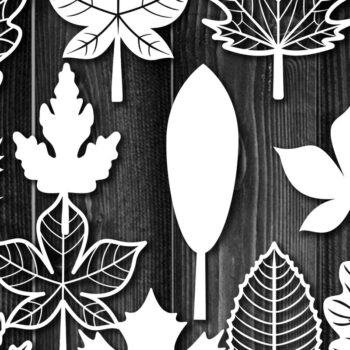 Intra απο ξύλο plywood 3mm-4mm πάχος – Σετ Clipart Silhoette Autumn Leaves Δίασταση 20x20 cm INTRAFABR-18260782 - Image 2