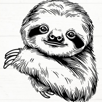 Intra απο ξύλο plywood 3mm-4mm πάχος – Sloth, DXF, EPS, JPG, PNG Δίασταση  20x20 cm INTRAFABR-115721024 - Image 8