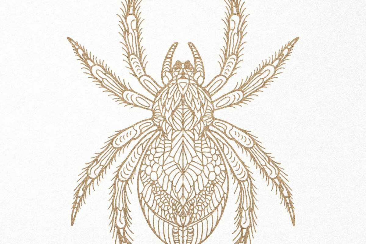 Intra απο ξύλο plywood 3mm-4mm πάχος – Spider, Intricate Mandala Spider Δίασταση  20x20 cm INTRAFABR-108855335