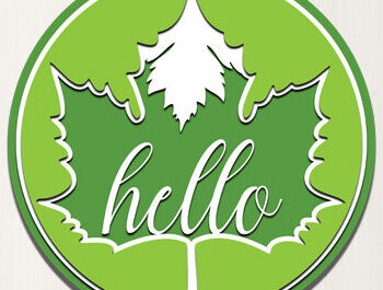 Intra απο ξύλο plywood 3mm-4mm πάχος – Δέσμη κοπής λέιζερ κρεμάστρας ελατηρίου πόρτας Δίασταση  20x20 cm INTRAFABR-67328170 - Image 11