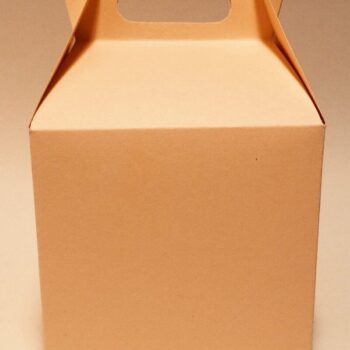 Intra απο ξύλο plywood 3mm-4mm πάχος – Τετράγωνο Gable Box Δίασταση  20x20 cm INTRAFABR-33161291 - Image 3