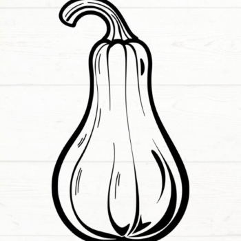 Intra απο ξύλο plywood 3mm-4mm πάχος – Squash, DXF, EPS, JPG, PNG Δίασταση  20x20 cm INTRAFABR-115722973 - Image 8