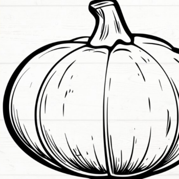 Intra απο ξύλο plywood 3mm-4mm πάχος – Squash, DXF, EPS, JPG, PNG Δίασταση  20x20 cm INTRAFABR-115722973 - Image 10