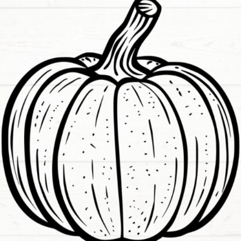 Intra απο ξύλο plywood 3mm-4mm πάχος – Squash Δίασταση  20x20 cm INTRAFABR-115495715 - Image 6