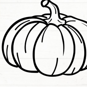 Intra απο ξύλο plywood 3mm-4mm πάχος – Squash Δίασταση  20x20 cm INTRAFABR-115495715 - Image 8