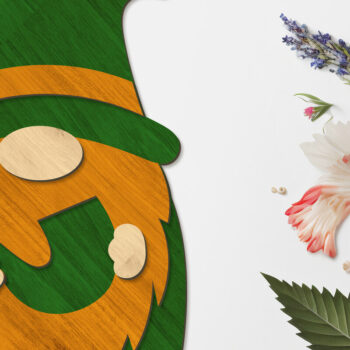 Intra απο ξύλο plywood 3mm-4mm πάχος – St. Patricks Day Gnome, κομμένο πρότυπο Δίασταση  20x20 cm INTRAFABR-90921474 - Image 2