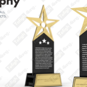 Intra απο ξύλο plywood 3mm-4mm πάχος –  κοπής με λέιζερ Star Trophy | Δίασταση  20x20 cm INTRAFABR-110719936 - Image 1