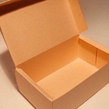 Intra απο ξύλο plywood 3mm-4mm πάχος – Κουτί αποθήκευσης με καπάκι Δίασταση  20x20 cm INTRAFABR-33163412 - Image 6