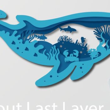 Intra απο ξύλο plywood 3mm-4mm πάχος – Summer Deep Sea Bundle Paper/Laser Δίασταση  20x20 cm INTRAFABR-33362450 - Image 3