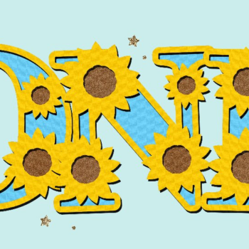 Intra απο ξύλο plywood 3mm-4mm πάχος – Sunflower Alphabet 3D Δίασταση  20x20 cm INTRAFABR-105508725 - Image 4