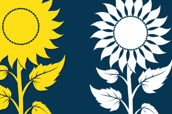 1759073757_Sunflower-Silhouette-SVG-Cut-File-Graphics-99897463-1-1