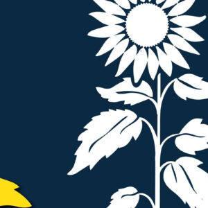 Intra απο ξύλο plywood 3mm-4mm πάχος – Αρχείο κομμένο Silhouette Sunflower Δίασταση  20x20 cm INTRAFABR-99812000