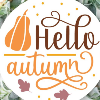 Intra απο ξύλο plywood 3mm-4mm πάχος – Πακέτο στρογγυλών πινακίδων ευχαριστιών | BE Δίασταση  20x20 cm INTRAFABR-97376717 - Image 4