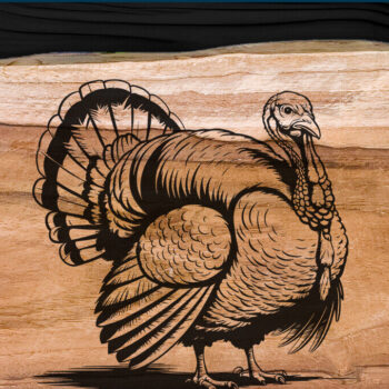 Intra απο ξύλο plywood 3mm-4mm πάχος – Κοπή λέιζερ Τουρκίας για την Ημέρα των Ευχαριστιών Δίασταση 20x20 cm INTRAFABR-107925245 - Image 3