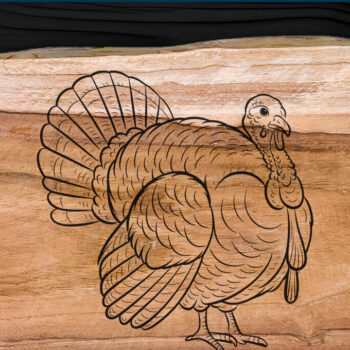 Intra απο ξύλο plywood 3mm-4mm πάχος – Κοπή λέιζερ Τουρκίας για την Ημέρα των Ευχαριστιών Δίασταση 20x20 cm INTRAFABR-107925400 - Image 3