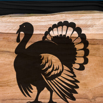 Intra απο ξύλο plywood 3mm-4mm πάχος – Κοπή λέιζερ Τουρκίας για την Ημέρα των Ευχαριστιών Δίασταση 20x20 cm INTRAFABR-107924078 - Image 3