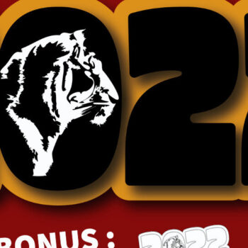 Intra απο ξύλο plywood 3mm-4mm πάχος – Τίγρη Δίασταση  20x20 cm INTRAFABR-18367729 - Image 1