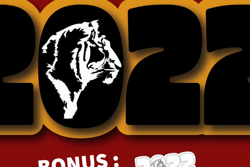 Intra απο ξύλο plywood 3mm-4mm πάχος – Τίγρη Δίασταση  20x20 cm INTRAFABR-18367729