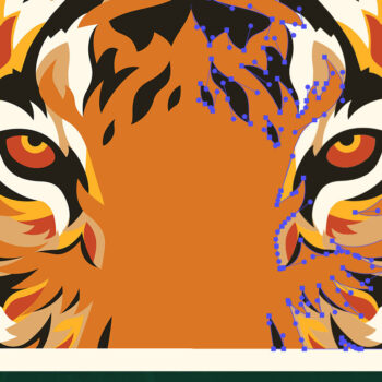 Intra απο ξύλο plywood 3mm-4mm πάχος – Tiger 3D Layered | Αρχείο κοπής με λέιζερ ζώων Δίασταση 20x20 cm INTRAFABR-24585992 - Image 6