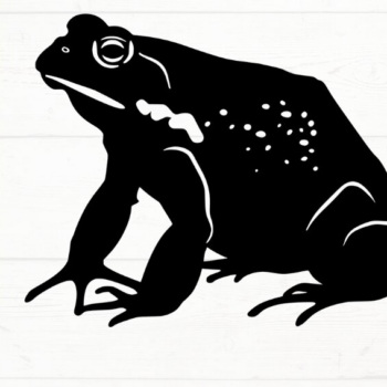 Intra απο ξύλο plywood 3mm-4mm πάχος – Toad, DXF, EPS, JPG, PNG Δίασταση  20x20 cm INTRAFABR-115721110 - Image 8