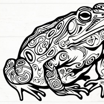 Intra απο ξύλο plywood 3mm-4mm πάχος – Toad, DXF, EPS, JPG, PNG Δίασταση  20x20 cm INTRAFABR-115721110 - Image 9