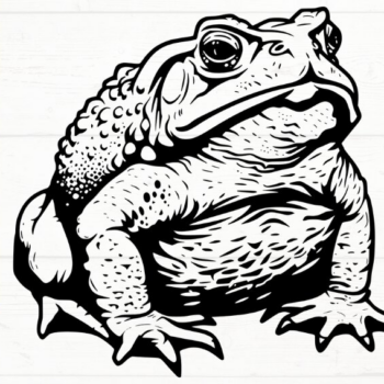 Intra απο ξύλο plywood 3mm-4mm πάχος – Toad, DXF, EPS, JPG, PNG Δίασταση  20x20 cm INTRAFABR-115721110 - Image 10