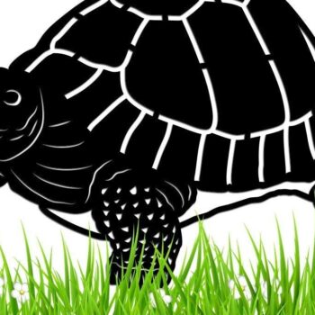 Intra απο ξύλο plywood 3mm-4mm πάχος – Tortoise - Αρχείο κοπής με λέιζερ Δίασταση  20x20 cm INTRAFABR-33160353 - Image 2