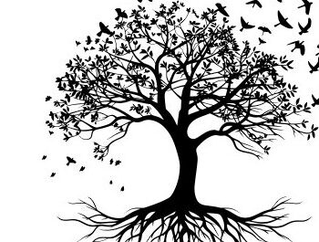 Intra απο ξύλο plywood 3mm-4mm πάχος – Σχεδιασμός αρχείου αποκοπής Cut Tree Δίασταση  20x20 cm INTRAFABR-99549793 - Image 2