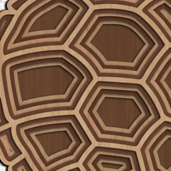 Intra απο ξύλο plywood 3mm-4mm πάχος – TURTLE 3D Multilayer Δίασταση  20x20 cm INTRAFABR-30012519 - Image 4