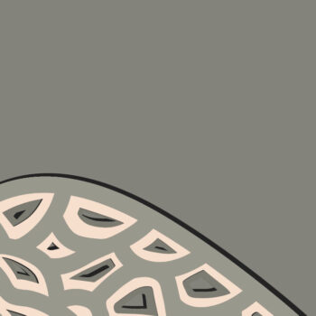 Intra απο ξύλο plywood 3mm-4mm πάχος – Χελώνα Πολυστρωματικό/Χελώνα Κοπή χαρτιού Δίασταση  20x20 cm INTRAFABR-67710322 - Image 9