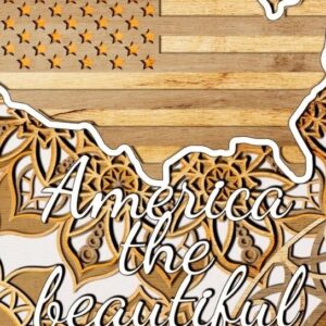 Intra απο ξύλο plywood 3mm-4mm πάχος – Χάρτης με στρώσεις ΗΠΑ Δίασταση  20x20 cm INTRAFABR-29999780