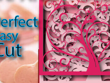 Intra απο ξύλο plywood 3mm-4mm πάχος – Χαρτί κουτιού σκιών πολλαπλών στρώσεων του Αγίου Βαλεντίνου Δίασταση  20x20 cm INTRAFABR-23784646 - Image 3