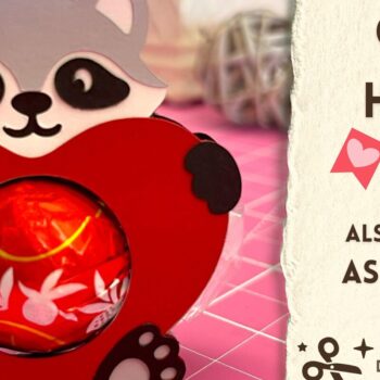 Intra απο ξύλο plywood 3mm-4mm πάχος – Valentines Raccoon Candy Holder Δίασταση  20x20 cm INTRAFABR-90974995 - Image 1