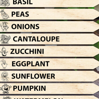 Intra απο ξύλο plywood 3mm-4mm πάχος – Πασσάλες φυτών λαχανικών Δίασταση  20x20 cm INTRAFABR-95555040 - Image 1