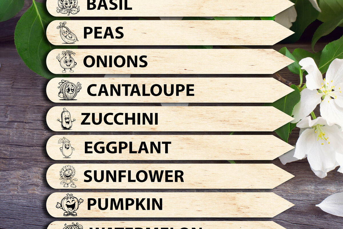 Intra απο ξύλο plywood 3mm-4mm πάχος – Πασσάλες φυτών λαχανικών Δίασταση  20x20 cm INTRAFABR-95555040