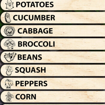 Intra απο ξύλο plywood 3mm-4mm πάχος – Πασσάλες φυτών λαχανικών Δίασταση  20x20 cm INTRAFABR-95555040 - Image 2