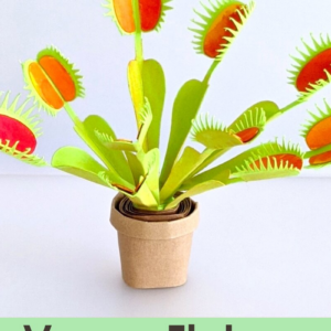 Intra απο ξύλο plywood 3mm-4mm πάχος – Αρχεία αποκοπής προτύπου Venus Flytrap Δίασταση  20x20 cm INTRAFABR-26016400